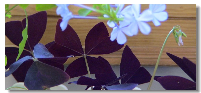 �ҵ����������