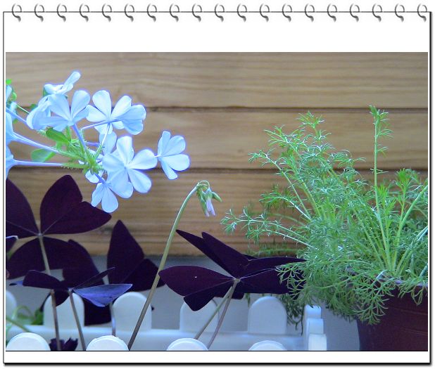 �ҵ����������