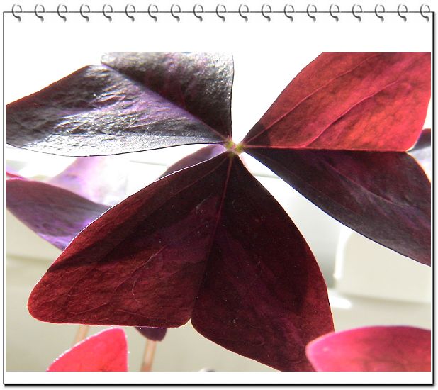 �ҵ����������