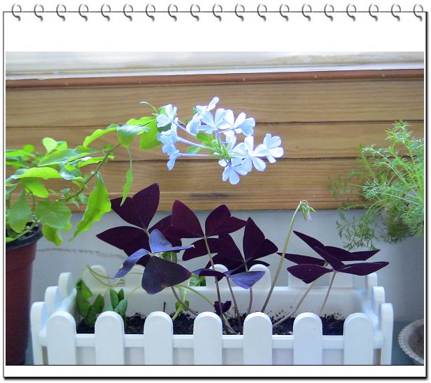 �ҵ����������