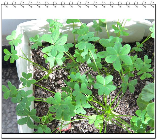 �ҵ����������