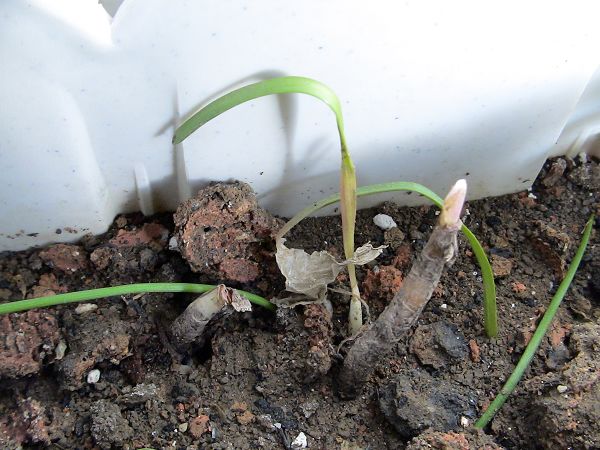 �ҵ����������