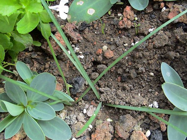 �ҵ����������