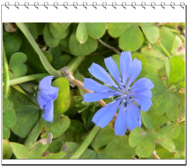 ������,�ص㲻�ڲݻ�