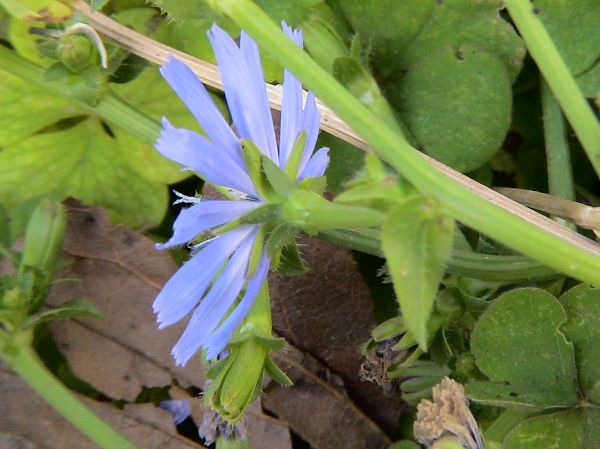 ������,�ص㲻�ڲݻ�