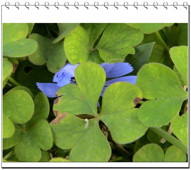 ������,�ص㲻�ڲݻ�