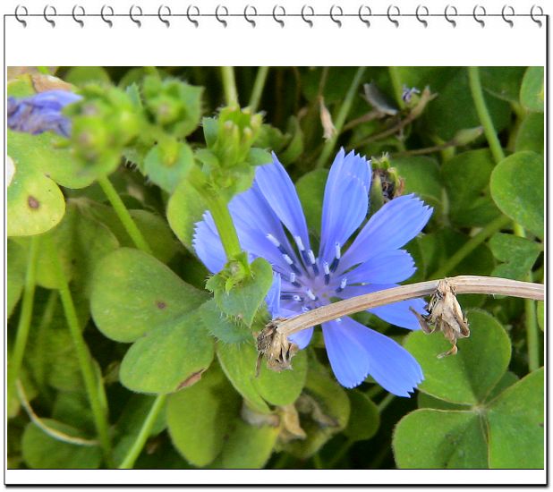 ������,�ص㲻�ڲݻ�