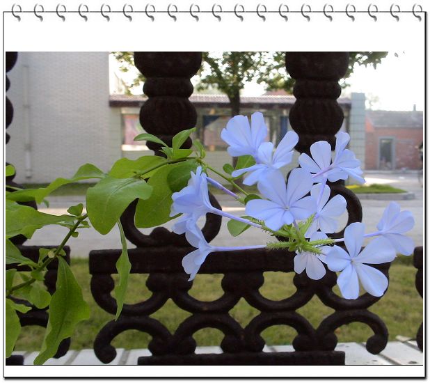 ������,�ص㲻�ڲݻ�