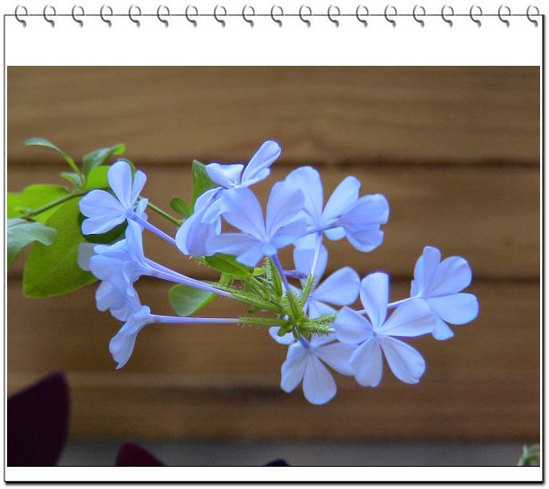 ������,�ص㲻�ڲݻ�