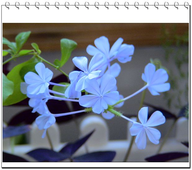 ������,�ص㲻�ڲݻ�