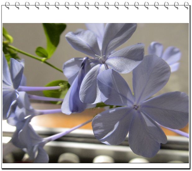 ������,�ص㲻�ڲݻ�