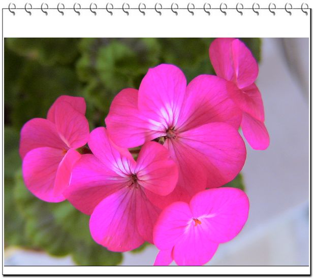 ������,�ص㲻�ڲݻ�