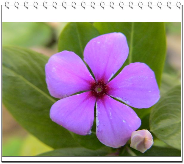 ������,�ص㲻�ڲݻ�