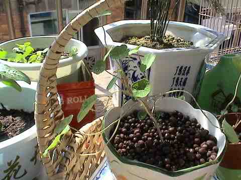 ������ð��