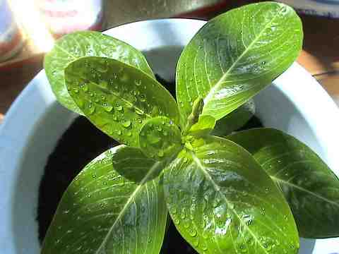 ������ð��