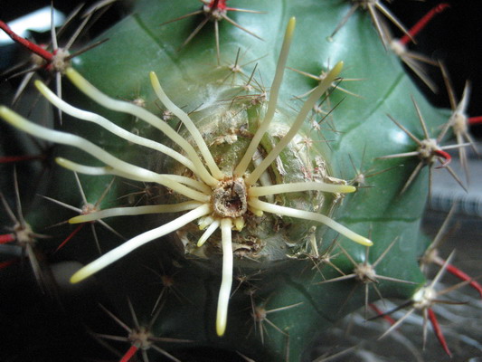 ˮ��ĸ�����