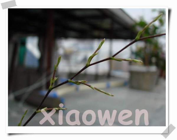 [��ͼ]��ǹС����