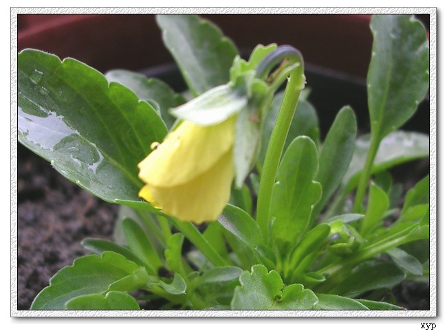 �ҵ�һЩС��