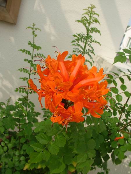 ż�Ļ���ż��Ժ��