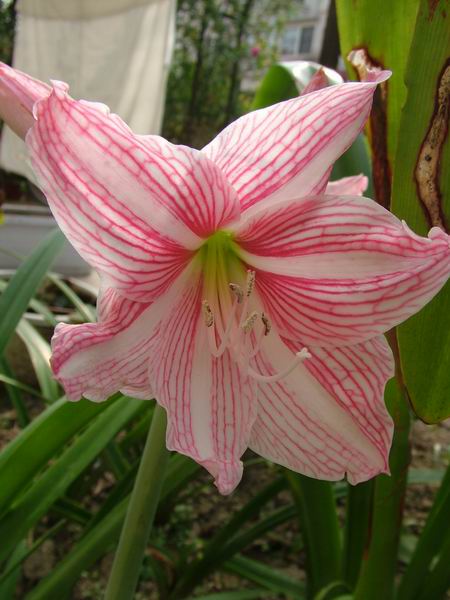 ż�Ļ���ż��Ժ��