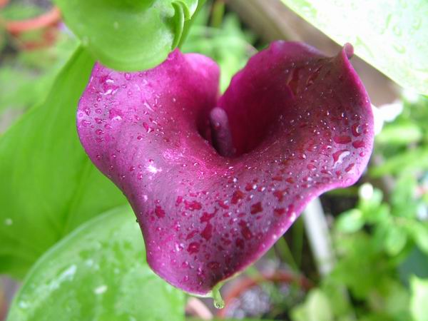 ż�Ļ���ż��Ժ��