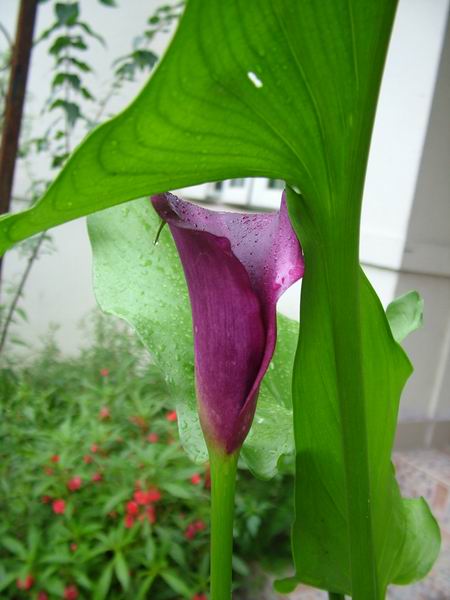 ż�Ļ���ż��Ժ��