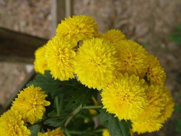 ż�Ļ���ż��Ժ��