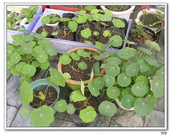 �ҵ�һЩС��