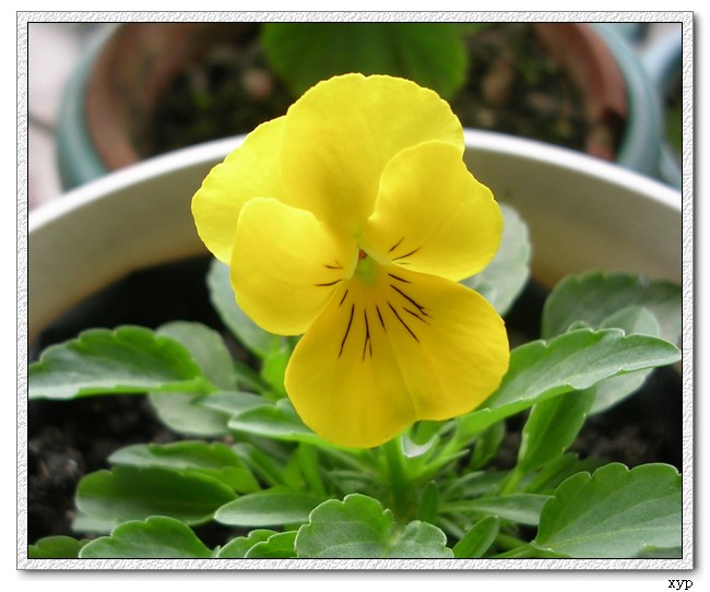 �ҵ�һЩС��