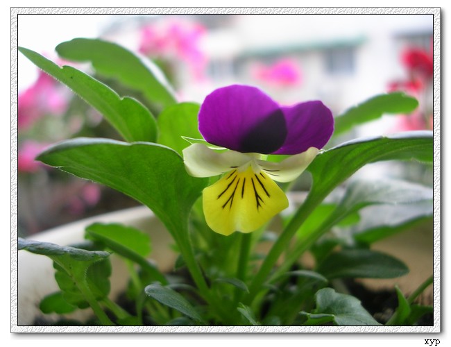 �ҵ�һЩС��