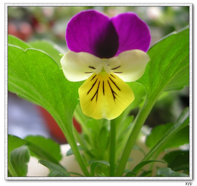 �ҵ�һЩС��