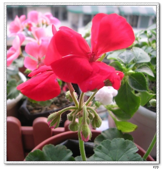 �ҵ�һЩС��(��������)