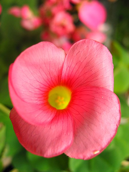 ܽ�������ݿ���