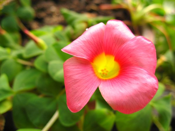 ܽ�������ݿ���