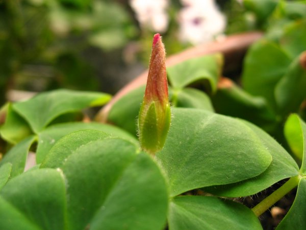 ܽ�������ݿ���