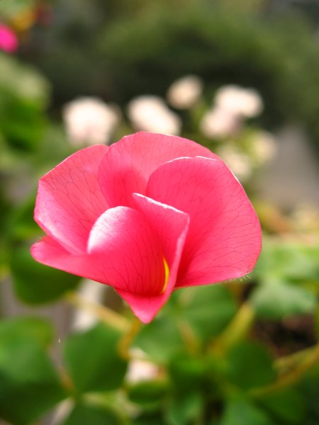 ܽ�������ݿ���