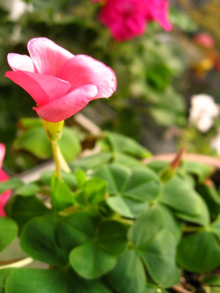 ܽ�������ݿ���