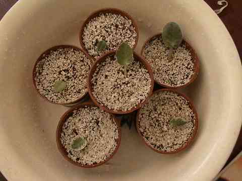 [��ͼ]��������