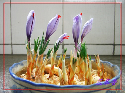 ������!�У������غ컨����!