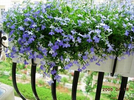 ��֪��λ��������ͼƬ��