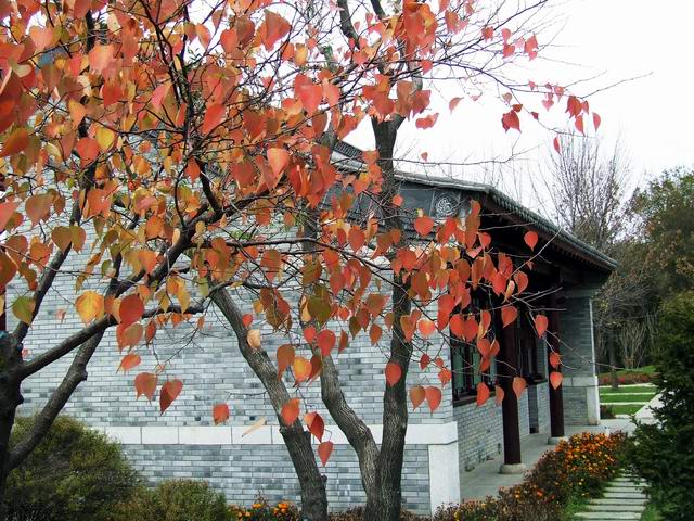 ������԰��