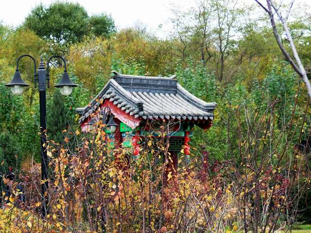 ������԰��