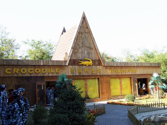 ������԰��