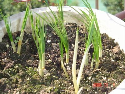 ������!�У������غ컨�����Ҫ����!