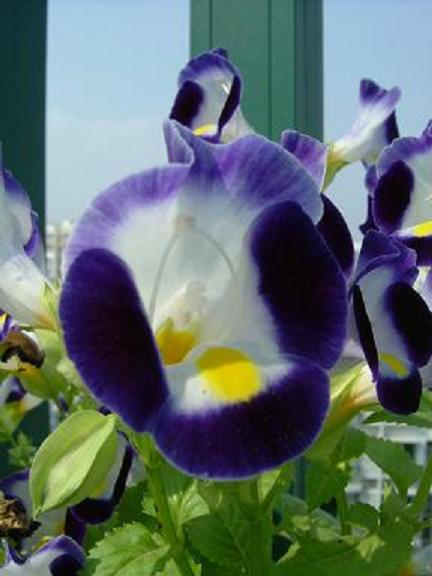 ���յ�����