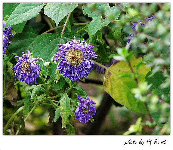 �ɱ�ȥ������~