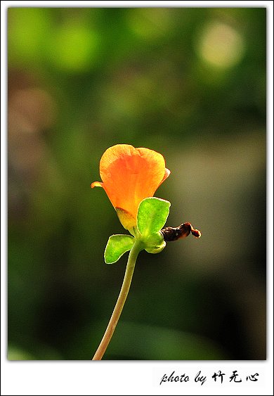 �ɱ�ȥ������~