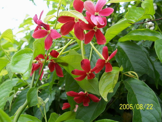W6levkj4.jpg