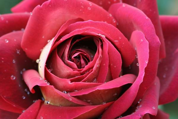 ���伯----�ҵ��¼���԰(�У�3���£�