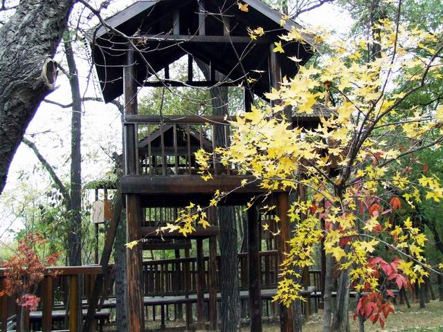 ������԰��